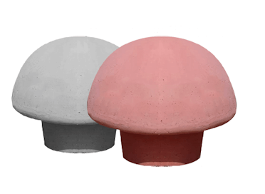 Das Beton Park Mantarı